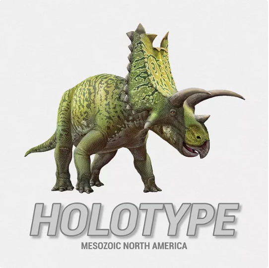 Holotype: Mezozoic North America
