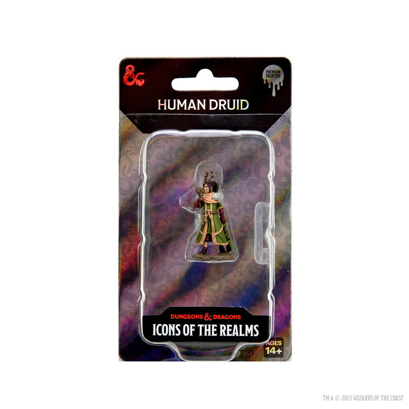 Dungeons & Dragons: Icons of the Realms Premium Figures W07 Female Human Druid from WizKids image 5