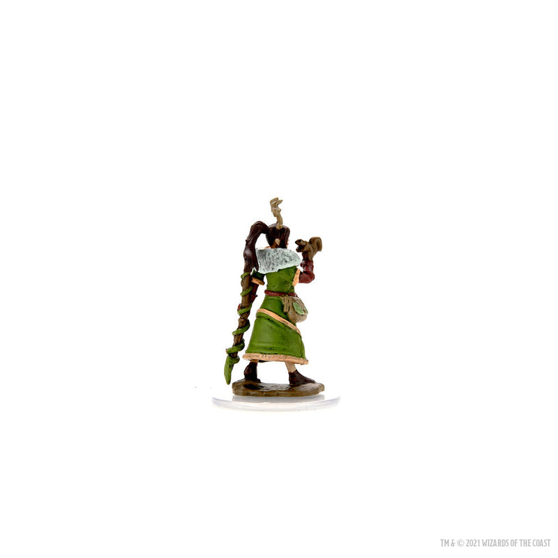 Dungeons & Dragons: Icons of the Realms Premium Figures W07 Female Human Druid from WizKids image 8
