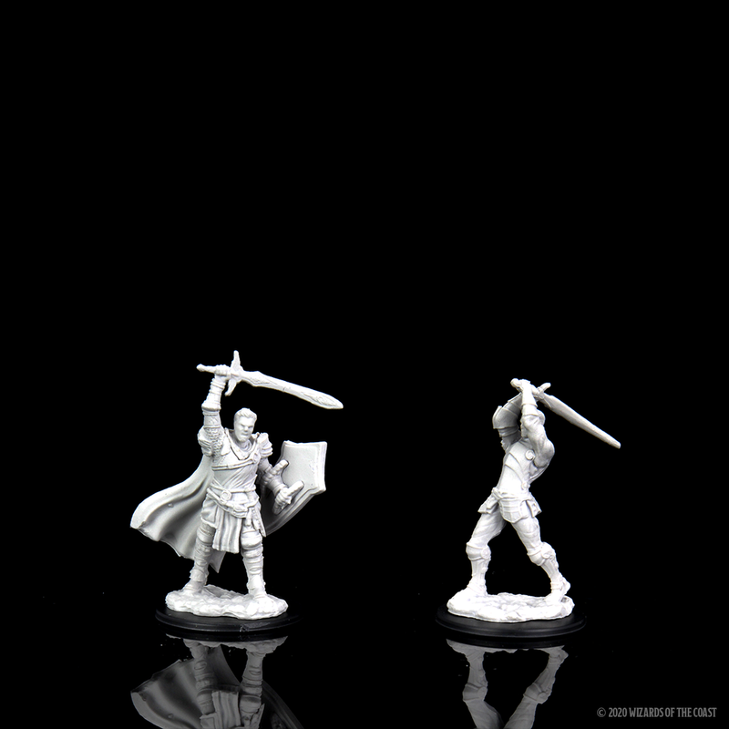 Dungeons & Dragons Nolzur's Marvelous Unpainted Miniatures: W12 Male Human Paladin from WizKids image 6