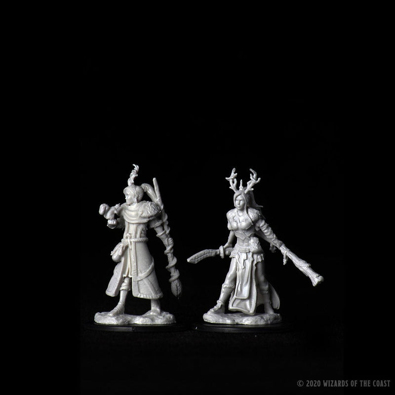 Dungeons & Dragons Nolzur's Marvelous Unpainted Miniatures: W09 Female Human Druid from WizKids image 11