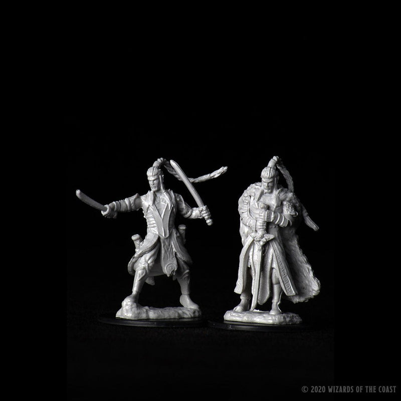 Dungeons & Dragons Nolzur's Marvelous Unpainted Miniatures: W09 Male Elf Paladin from WizKids image 8
