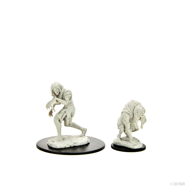 Pathfinder Deep Cuts Unpainted Miniatures: W14 Annis Hag & Green Hag from WizKids image 7