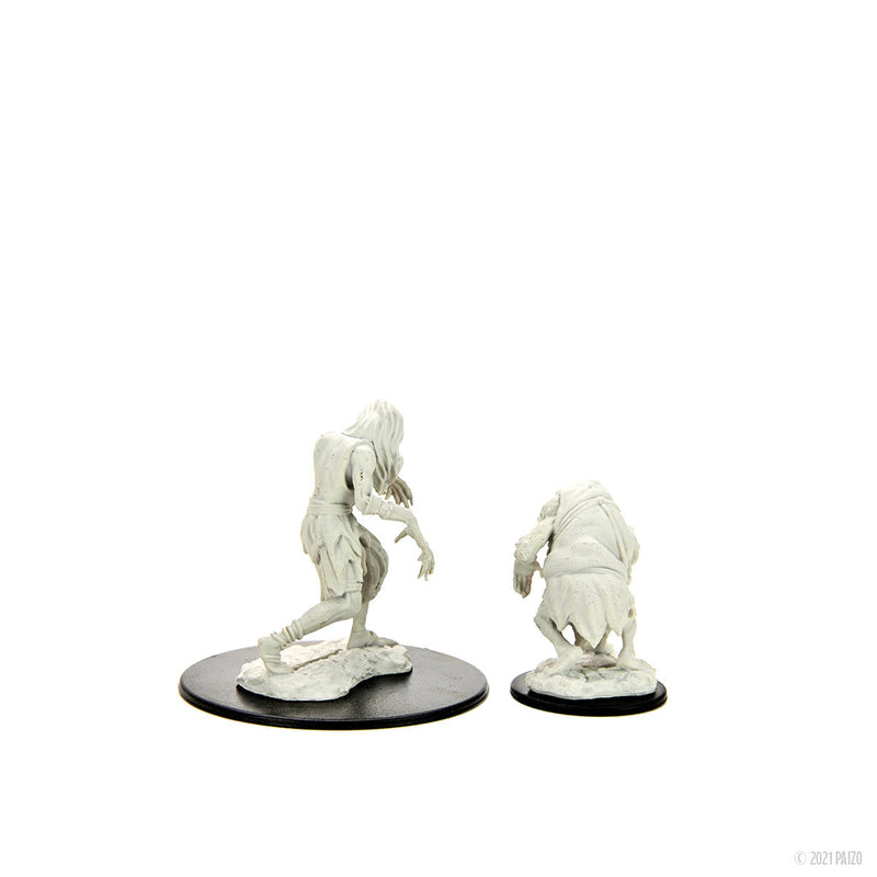 Pathfinder Deep Cuts Unpainted Miniatures: W14 Annis Hag & Green Hag from WizKids image 8