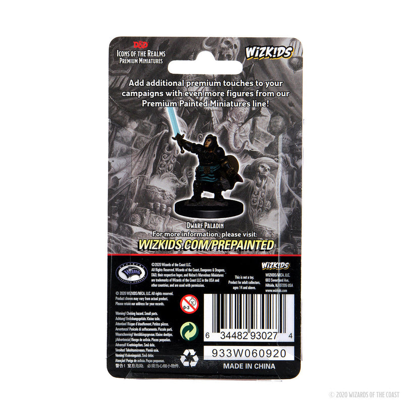 Dungeons & Dragons: Icons of the Realms Premium Figures W04 Dwarf Paladin Female from WizKids image 6