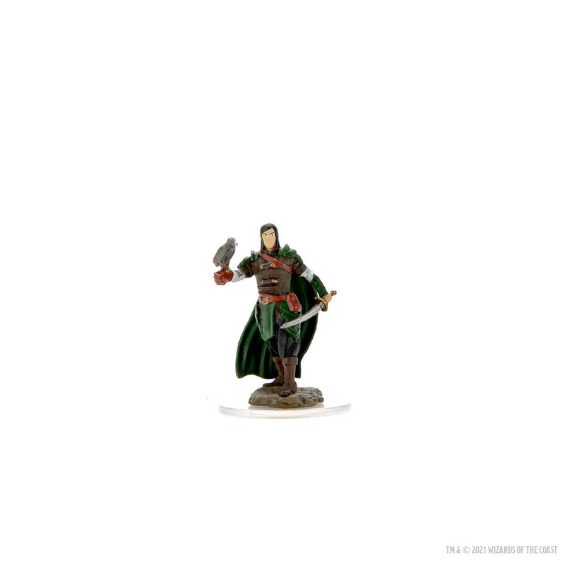 Dungeons & Dragons: Icons of the Realms Premium Figures W07 Male Elf Ranger from WizKids image 7