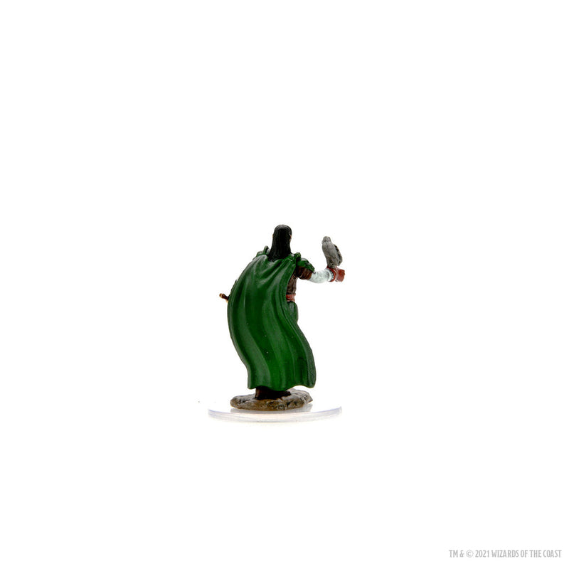 Dungeons & Dragons: Icons of the Realms Premium Figures W07 Male Elf Ranger from WizKids image 8