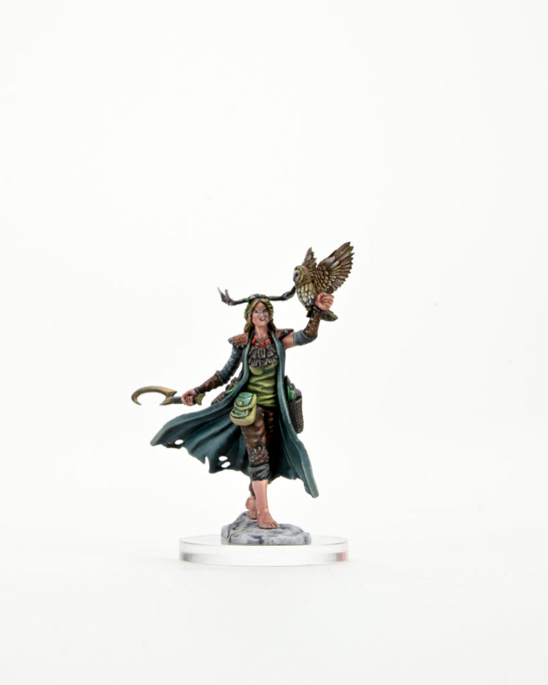 Dungeons & Dragons Frameworks: W01 Dwarf Fighter Male from WizKids image 11