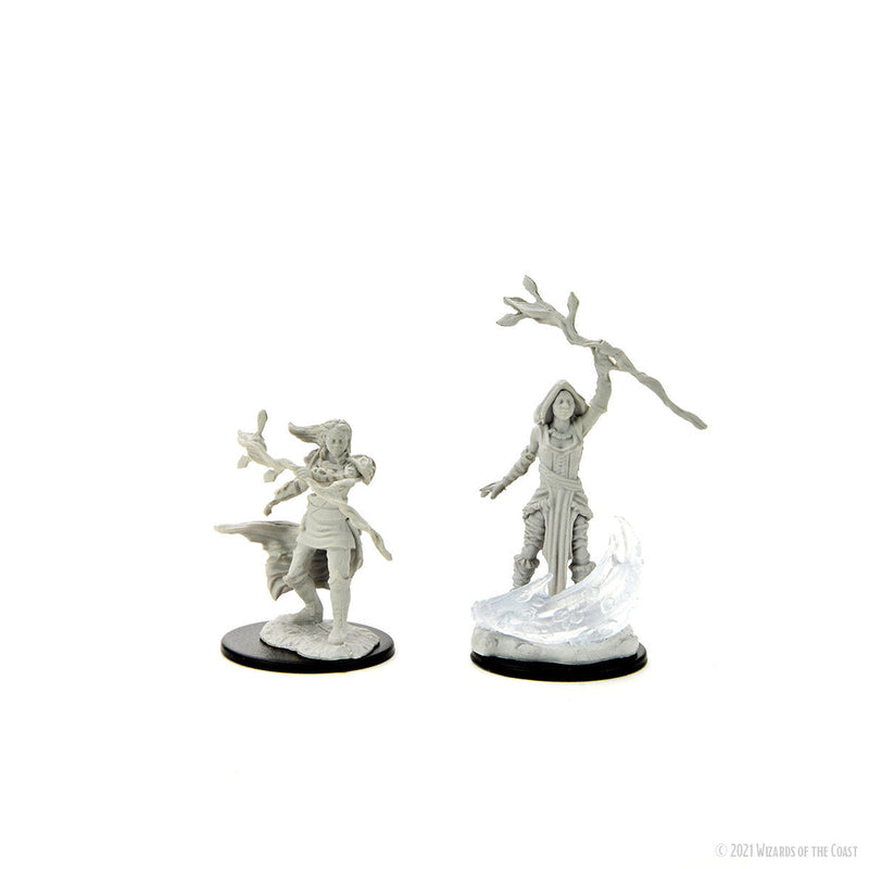 Dungeons & Dragons Nolzur's Marvelous Unpainted Miniatures: W14 Human Druid Female from WizKids image 7