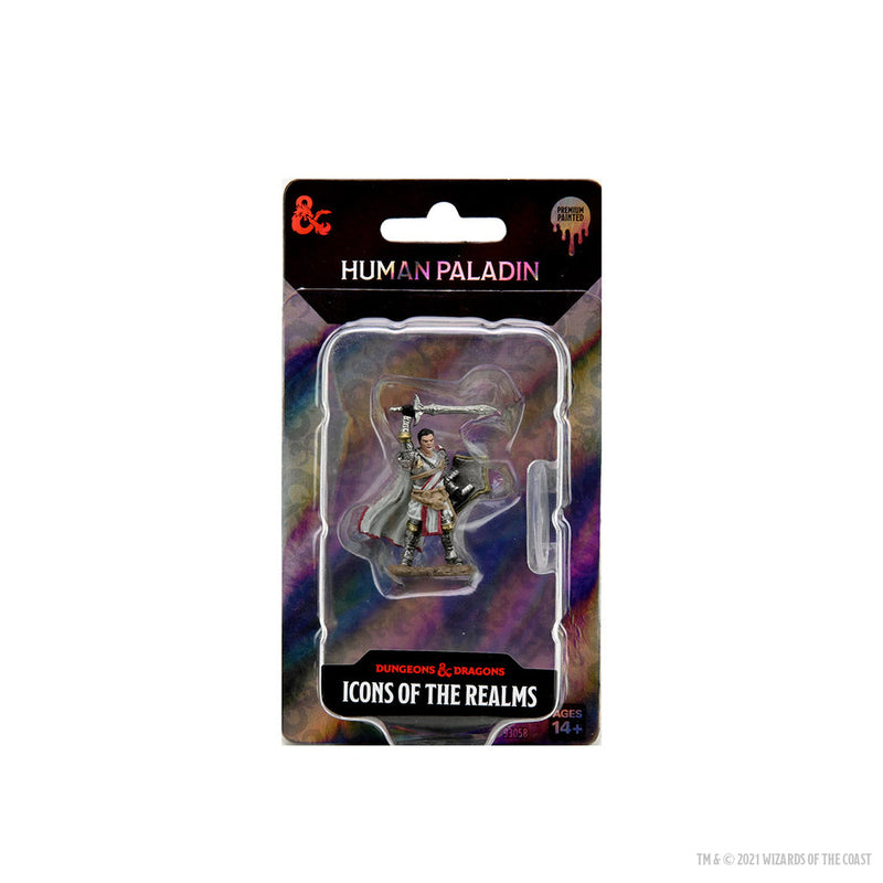 Dungeons & Dragons: Icons of the Realms Premium Figures W07 Male Human Paladin from WizKids image 5