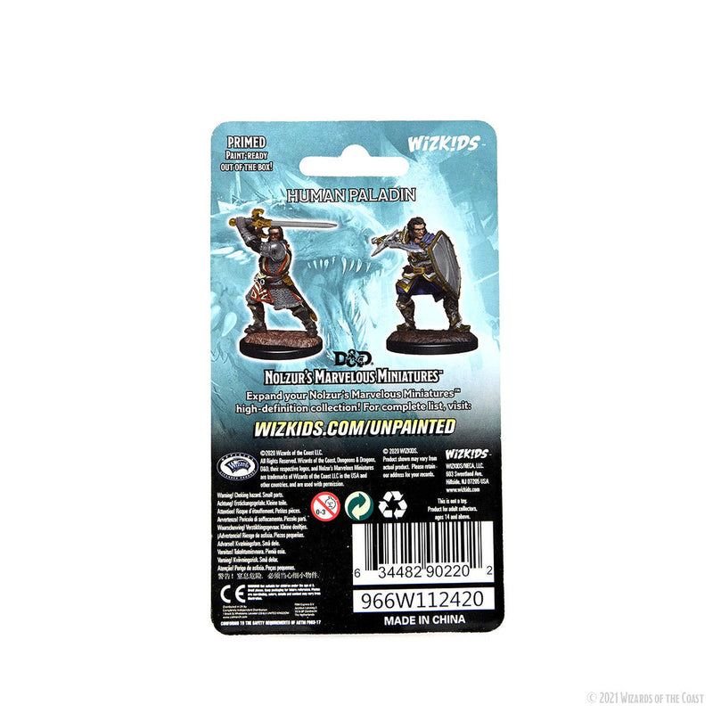 Dungeons & Dragons Nolzur's Marvelous Unpainted Miniatures: W14 Human Paladin Male from WizKids image 6