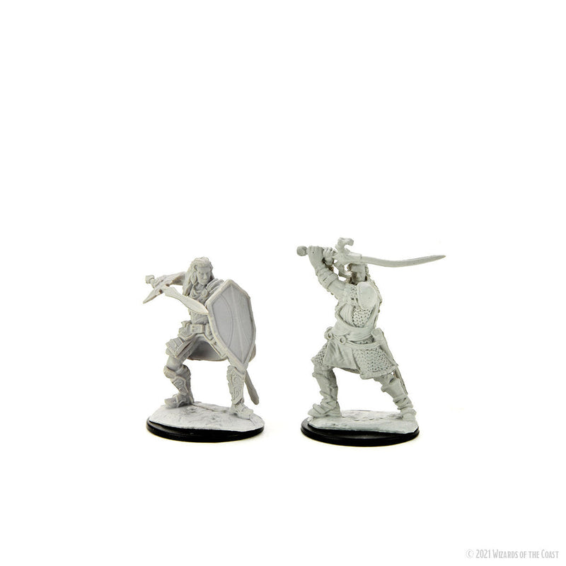 Dungeons & Dragons Nolzur's Marvelous Unpainted Miniatures: W14 Human Paladin Male from WizKids image 7