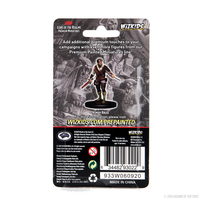 Dungeons & Dragons: Icons of the Realms Premium Figures W04 Human Rogue Male from WizKids image 6