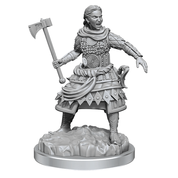Dungeons & Dragons Nolzur's Marvelous Miniatures: W21 Human Fighters