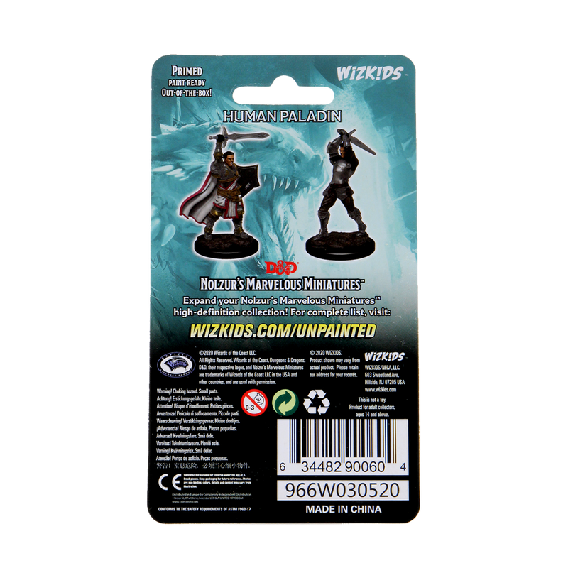 Dungeons & Dragons Nolzur's Marvelous Unpainted Miniatures: W12 Male Human Paladin from WizKids image 5