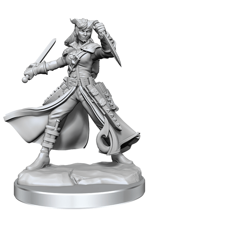 Dungeons & Dragons Frameworks: W01 Tiefling Rogue Female from WizKids image 9