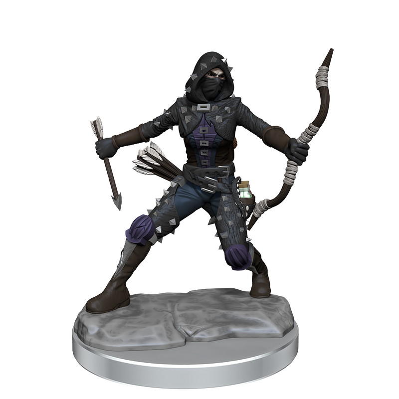 Dungeons & Dragons Frameworks: W01 Human Rogue Female from WizKids image 10